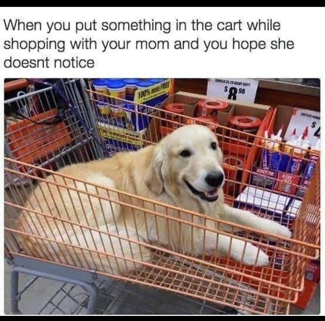 When you put something in the cart while shopping with your mom and you hope she doesnt notice