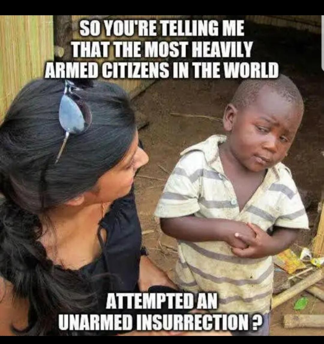 I SOYOURE TELLING ME it mg THATTHE MOST HEAVILY AR ARMED CITIZENS IN THE WORLD o v _J 4 ATTEMPTED ANSSS UNARMED INSURRECTION2