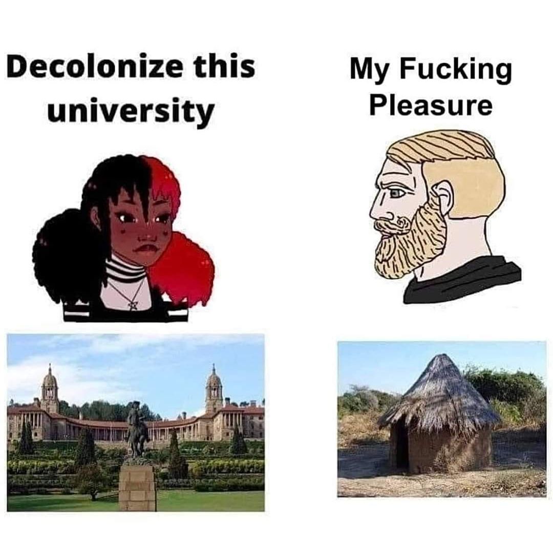 Decolonize this My Fucking university Pleasure