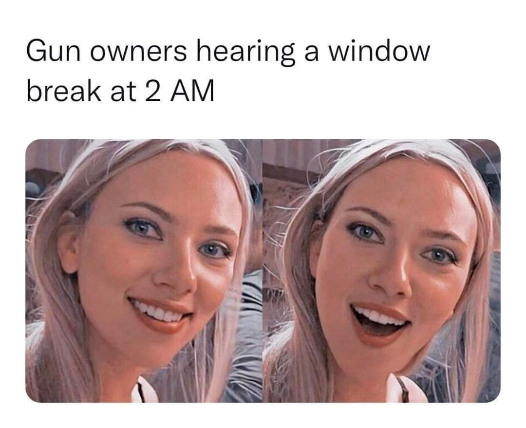Gun owners hearing a window break at 2 AM