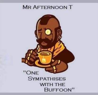 MR AFTERNOON T ONE SYMPATHISES WITH THE BUFFOON