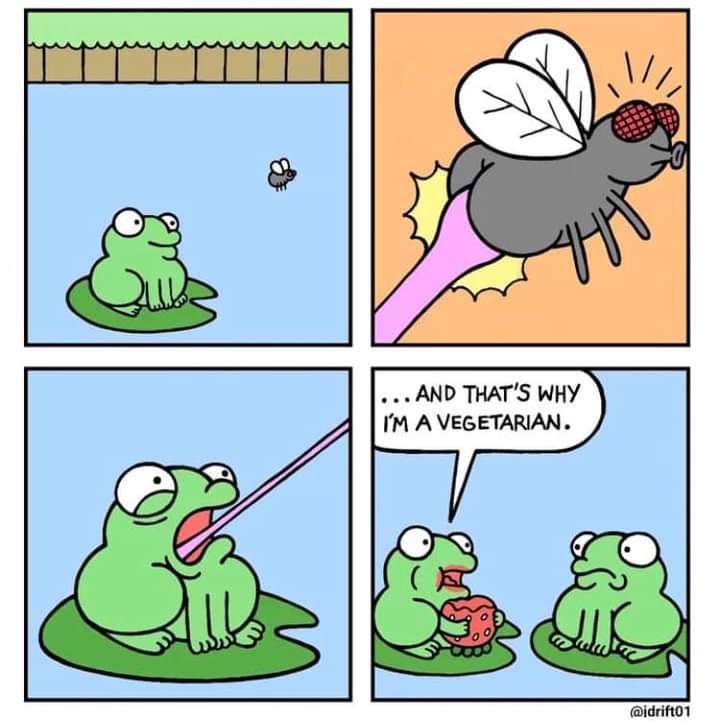 AND THATS WHY 1M A VEGETARIAN i 17 e