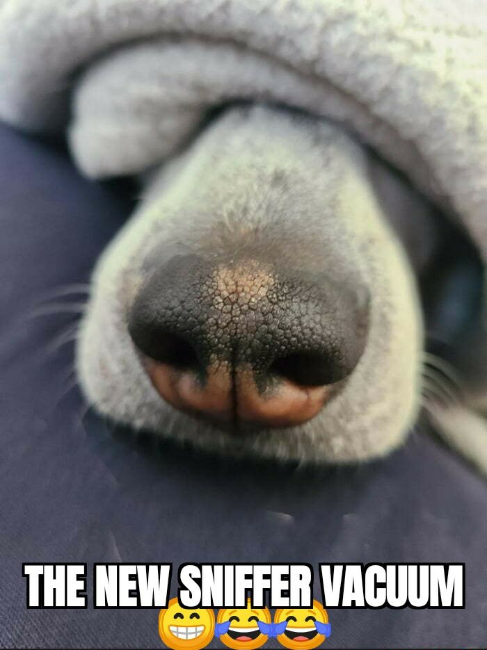 IHE NEWSNIFFER VACUUM