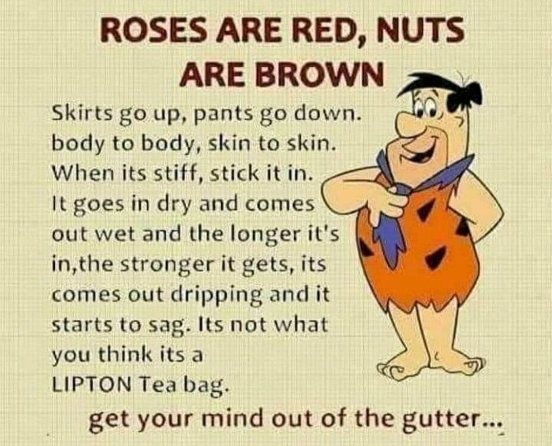 ROSES ARE RED NUTS ARE BROWN Skirts go up pants go down body to body skin to skin When its stiff stick it in It goes in dry and comes out wet and the longer its inthe stronger it gets its comes out dripping and it starts to sag Its not what you think its a LIPTON Tea bag get your mind out of the gutter