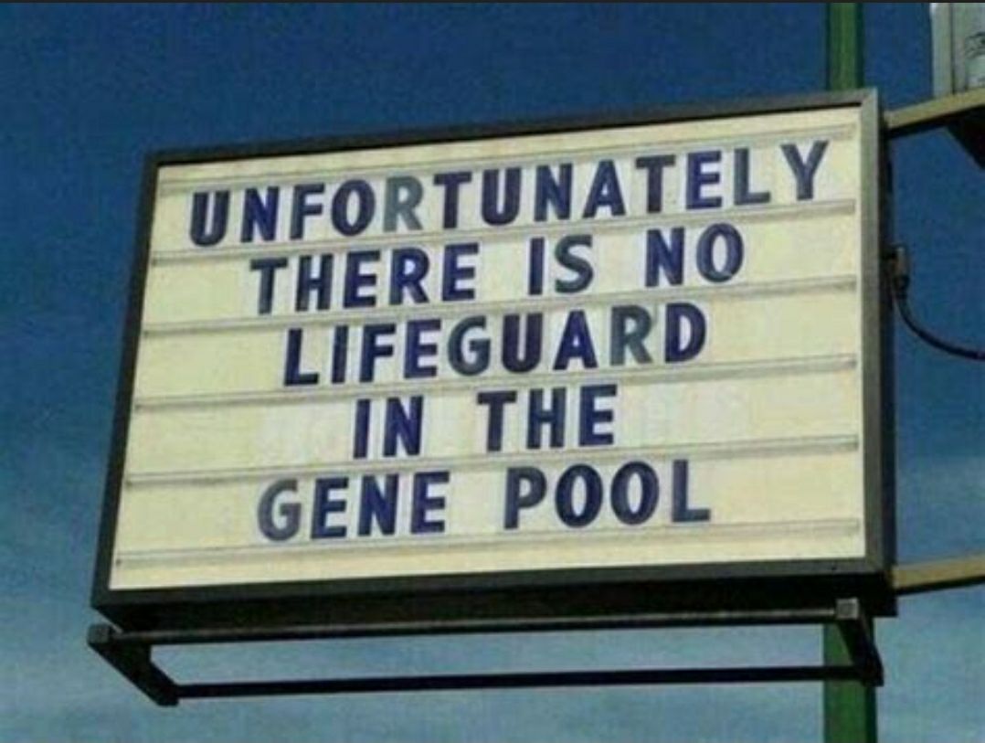 UNFORTUNATELY 8 THERE IS NO LIFEGUARD IN THE GENE POOL