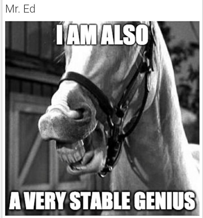 4 A VERY STABLE GENIUS