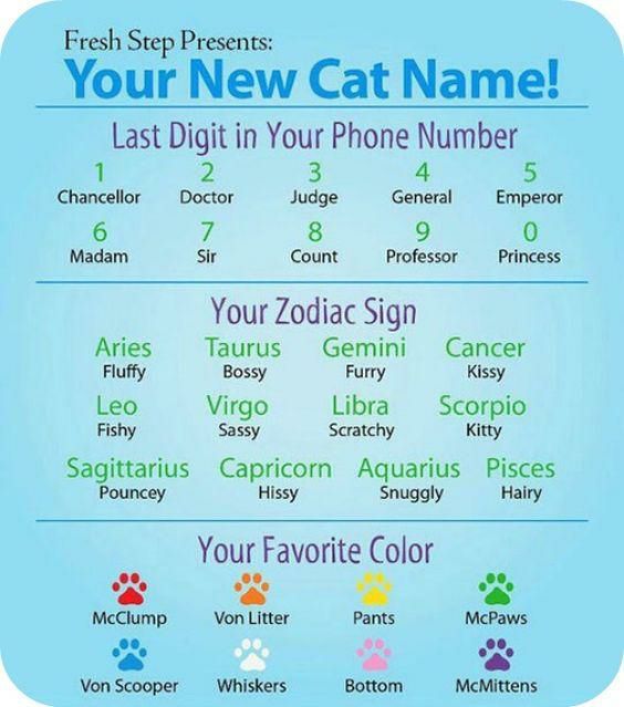 Fresh Step Presents Your New Cat Name Last Digit in Your Phone Number 1 2 3 4 5 Chancellor Doctor Judge General Emperor 6 7 8 9 0 Madam Sir Count Professor Princess Your Zodiac Sign Aries Taurus Gemini Cancer Fluffy Bossy Furry Kissy Leo Virgo Libra Scorpio Fishy Sassy Scratchy Kitty Sagittarius Capricorn Aquarius Pisces Pouncey Hissy Snuggly Hairy Your Favorite Color McClump Von Litter Pants 3 Vo