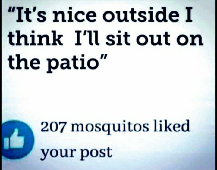 Its nice outside I think Il sit out on the patio 207 mosquitos liked your post