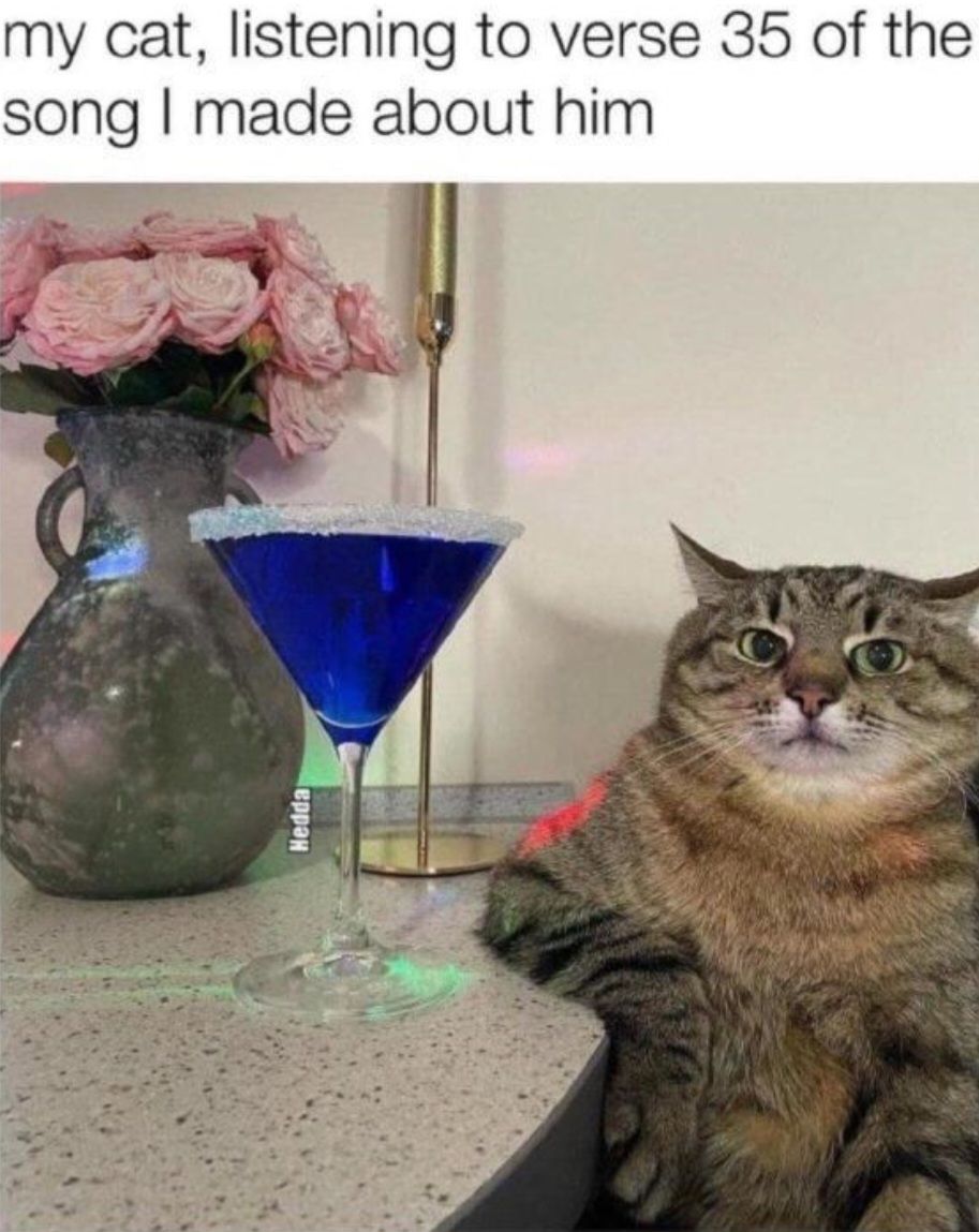 my cat listening to verse 35 of the song made about him