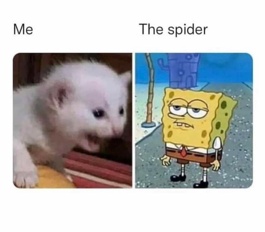 Me The spider