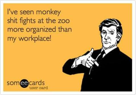 Ive seen monkey shit fights at the zoo more organized than my workplace somcards