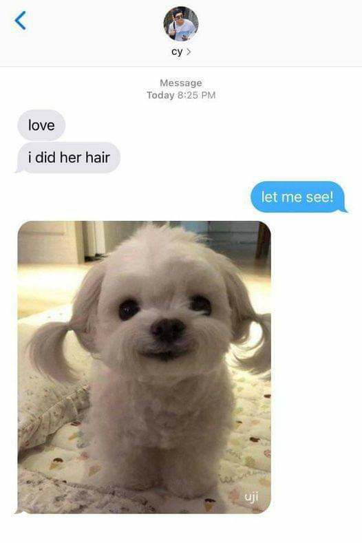 o Message Today 825 PM love idid her hair L