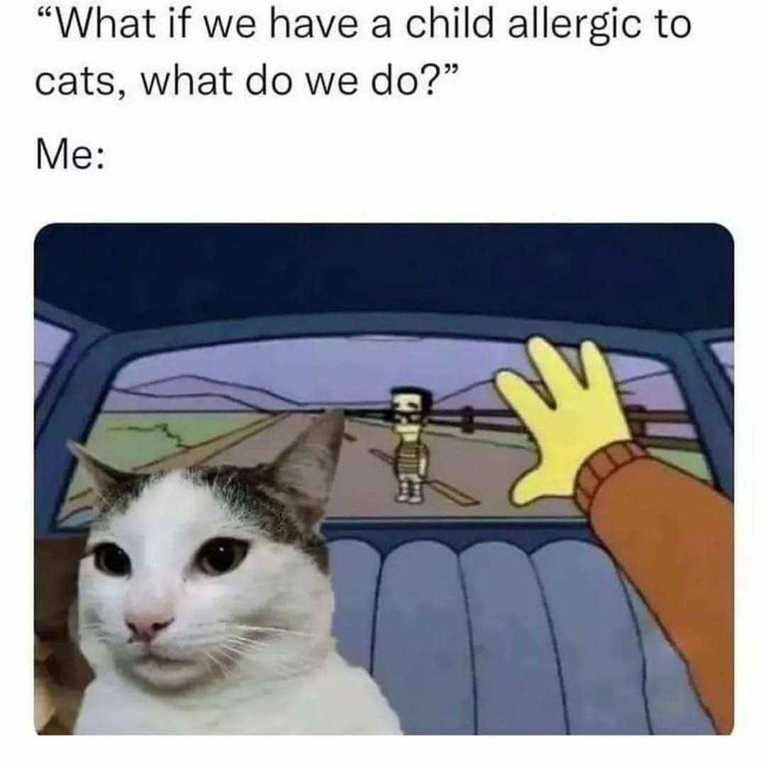 What if we have a child allergic to cats what do we do Me