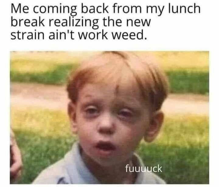 Me coming back from my lunch break realizing the new strain aint work weed