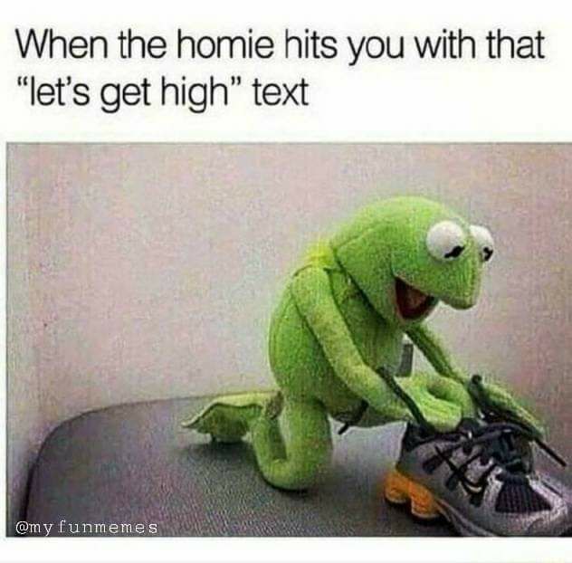 When the homie hits you with that lets get high text