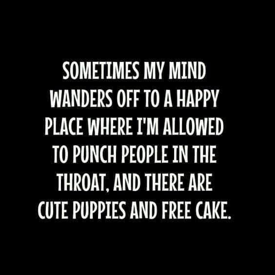 SOMETIMES MY MIND WANDERS OFF T0 A HAPPY PLACE WHERE IM ALLOWED TO PUNCH PEOPLE IN THE THROAT AND THERE ARE CUTE PUPPIES AND FREE CAKE