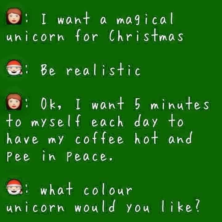 I want a magical unicorn for Christmas Be realistic 0k I want 5 minates to myself each day to have my coffee hot and Pee in Peace what colour unicorn would you likel
