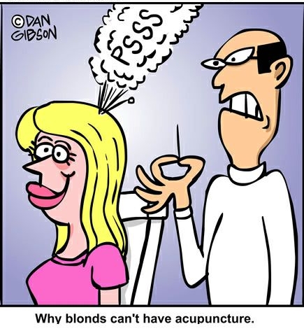 GIBBLEGUTSCOM By Dan Gibson Why blonds cant have acupuncture