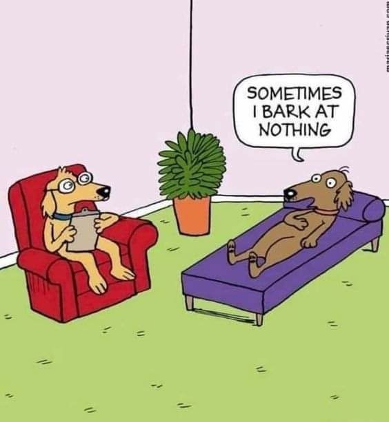 SOMETIMES BARK AT