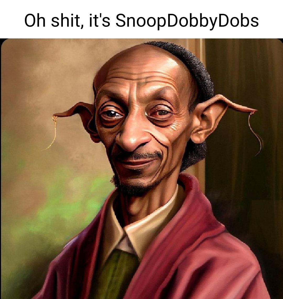 Oh shit its SnoopDobbyDobs 4 9 0 3 V