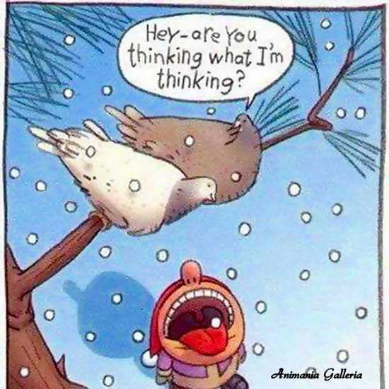 Hey are You thinking what Im thinking