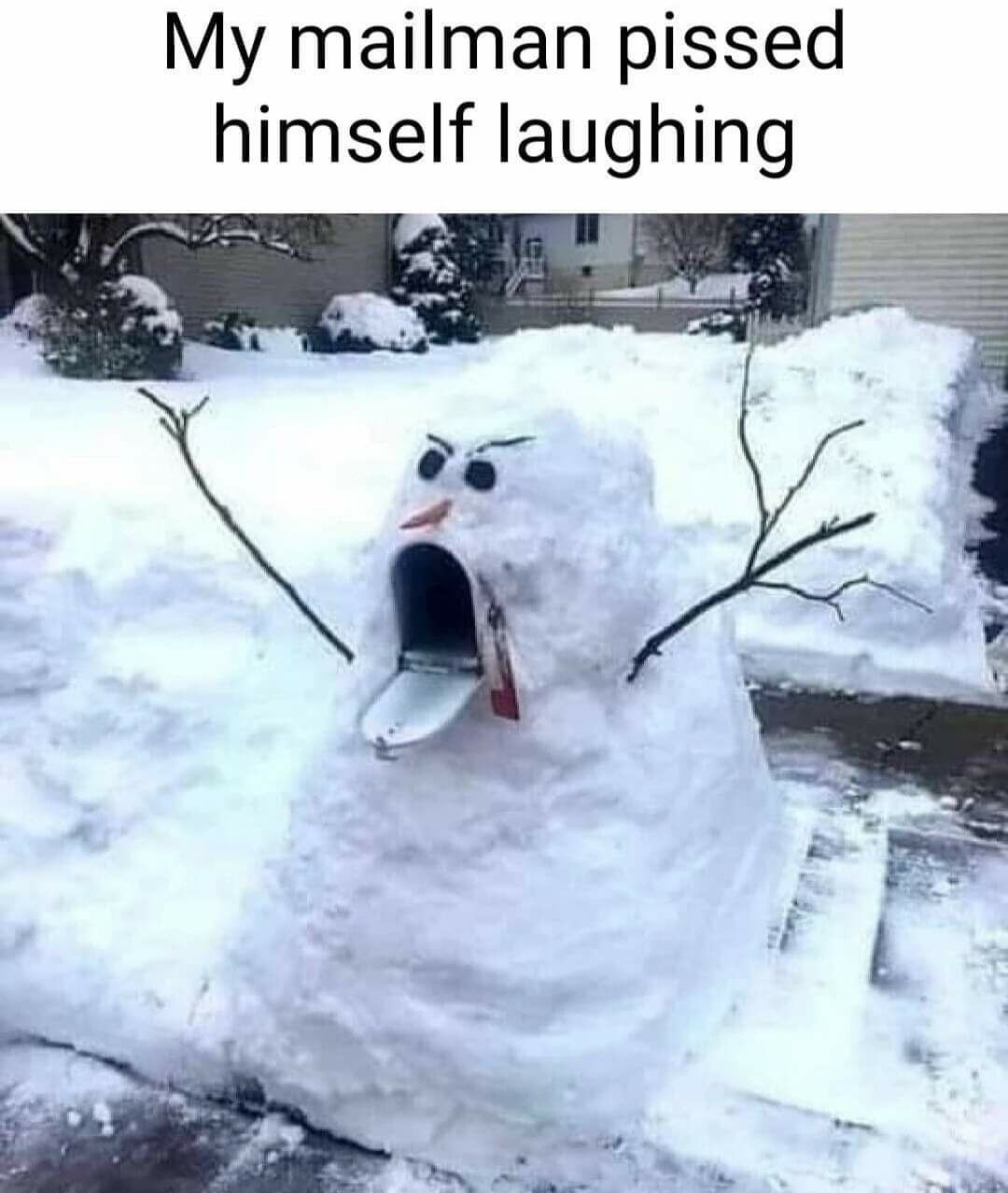 My mailman pissed himself laughing