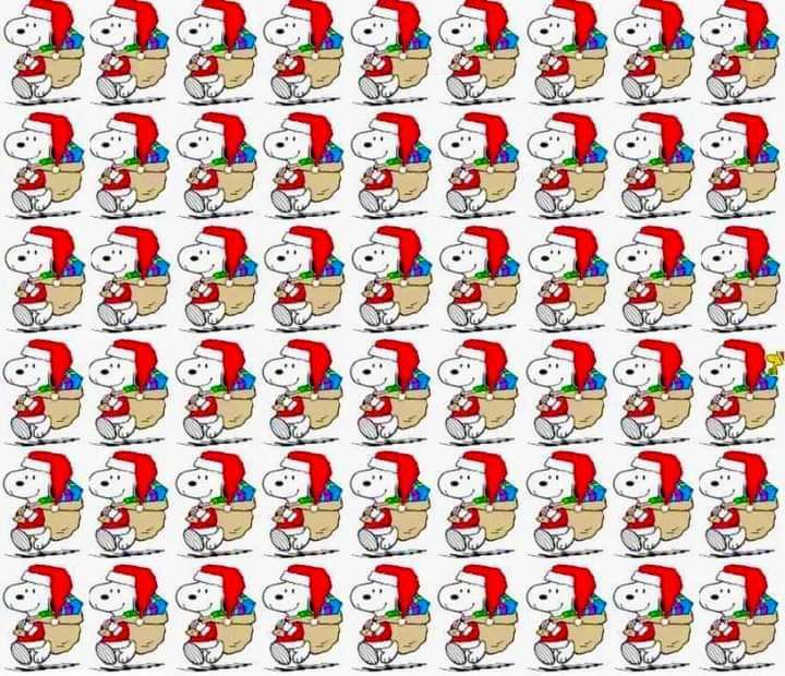 5 e L C v i L P P 4 s e riirhirirrties P P P R P P A P P P P P P4 R o 4 P PR PR R P