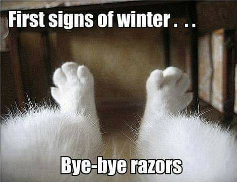 firsi signs of winter 4 7 nvepmazors