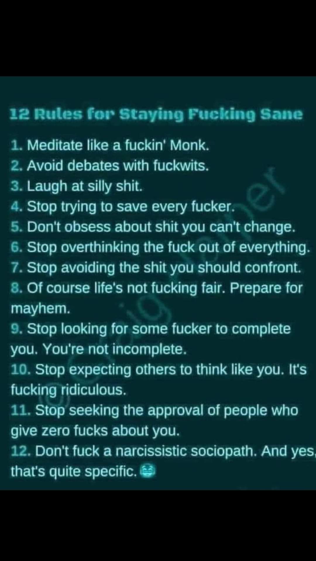 12 Rules for Staying Fucking Sane 1 Meditate like a fuckin Monk 2 Avoid debates with fuckwits 3 Laugh at silly shit 4 Stop trying to save every fucker 5 Dont obsess about shit you cant change 6 Stop overthinking the fuck out of everything 7 Stop avoiding the shit you should confront 8 Of course lifes not fucking fair Prepare for mayhem 9 Stop looking for some fucker to complete you Youre not incom