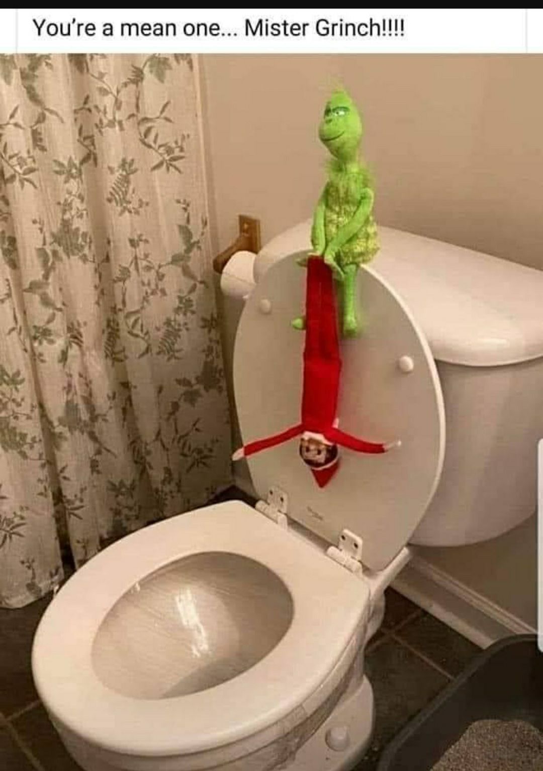 Youre a mean one Mister Grinch F W