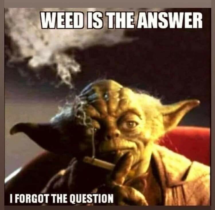 FORGOT THE QUESTION T