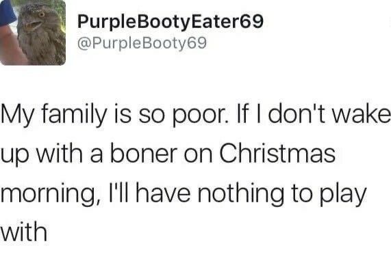 PurpleBootyEater69 PurpleBooty69 My family is so poor If dont wake up with a boner on Christmas morning Ill have nothing to play with