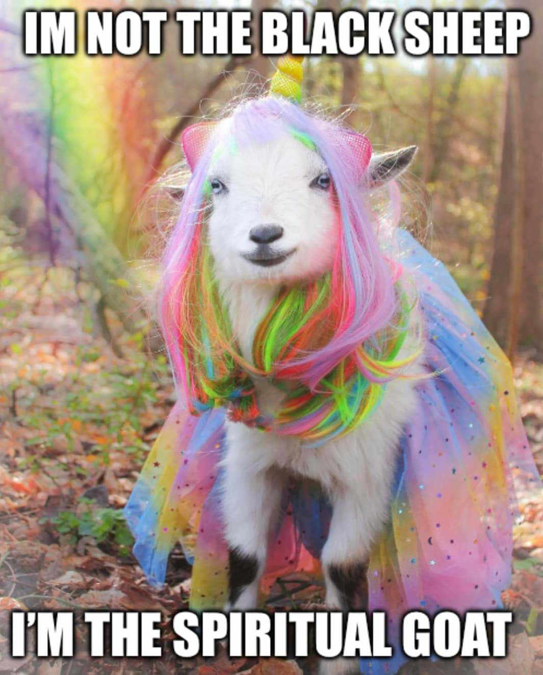 INOTTUE RIRC IMINOT II H ISHE_EP e 4 i Rt v 4 2 lv 2 v IM THE SPIRITU Ly ALG