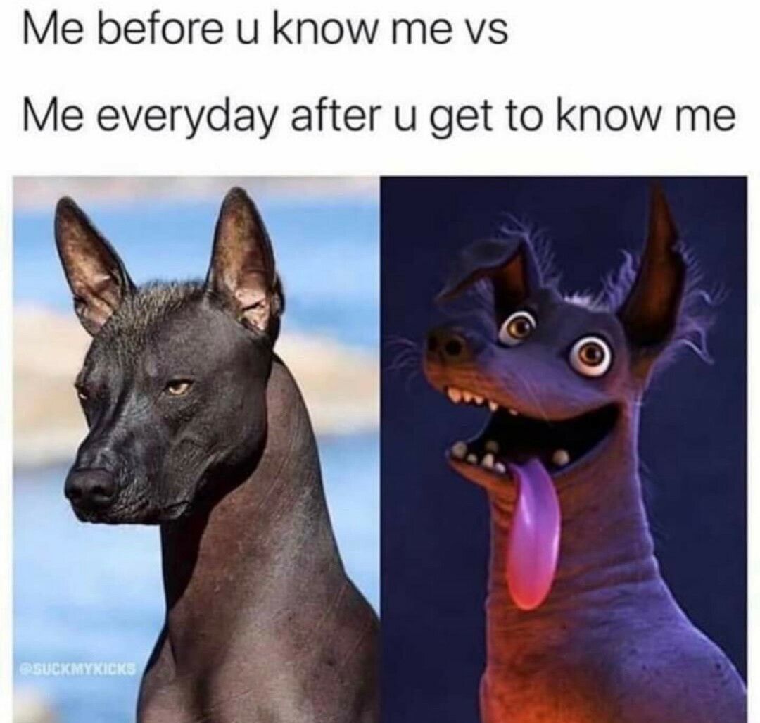 Me before u know me vs Me everyday after u get to know me