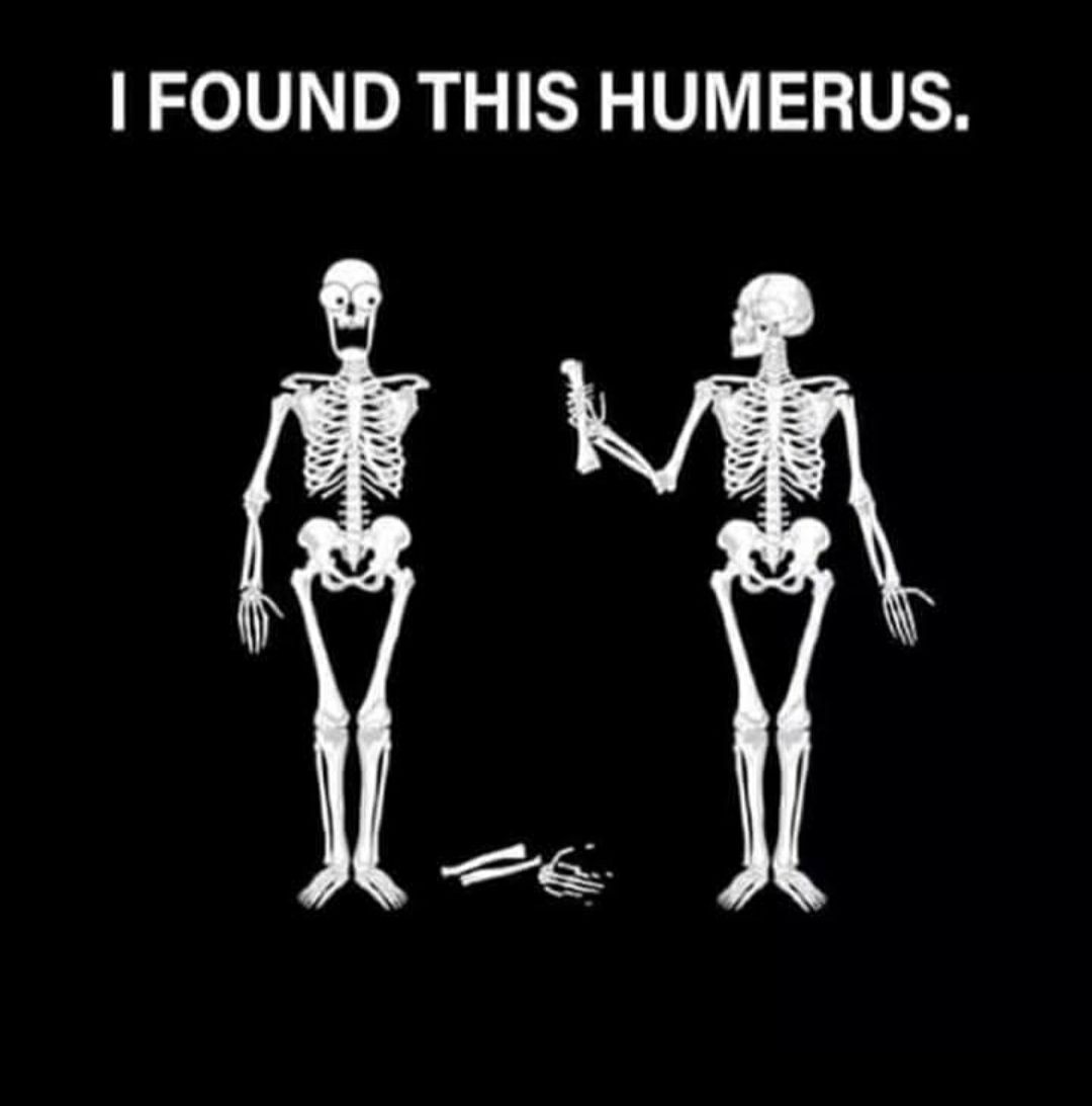 FOUND THIS HUMERUS