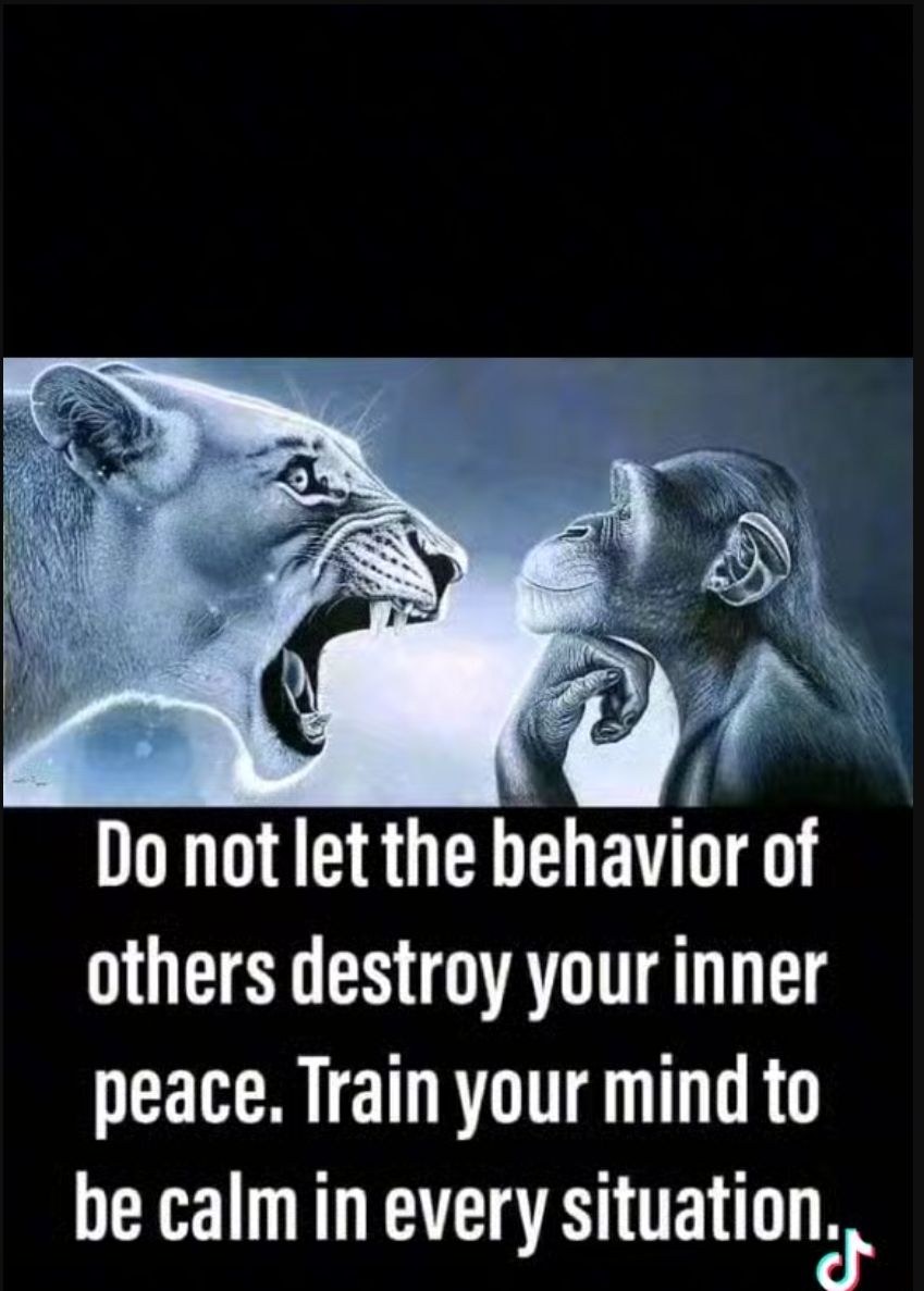 Do not let the behavior of others destroy your inner peace Train your mind to be calm in every situationr