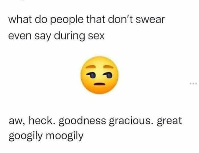 what do people that dont swear even say during sex aw heck goodness gracious great googily moogily