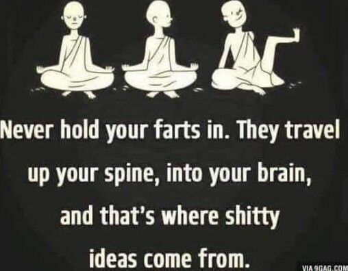dd i Never hold your farts in They travel up your spine into your brain and thats where shitty ideas come from S