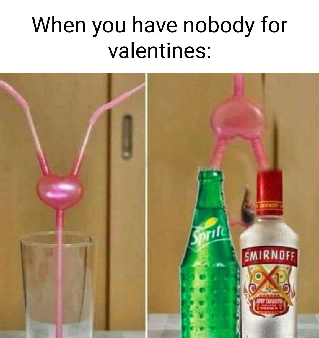 When you have nobody for valentines