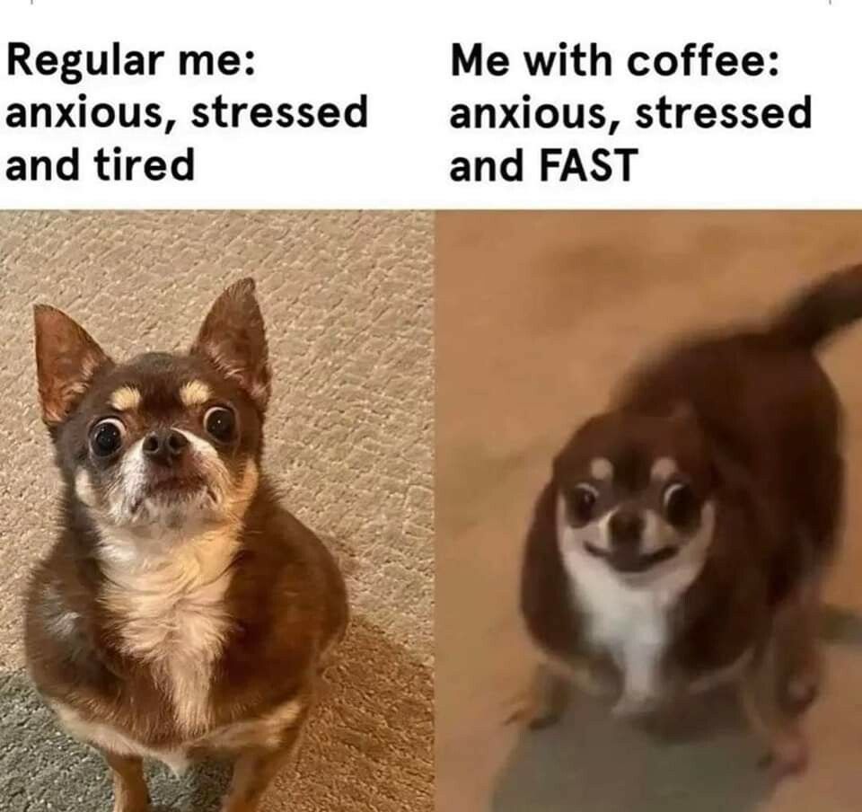 Regular me Me with coffee anxious stressed anxious stressed and tired and FAST