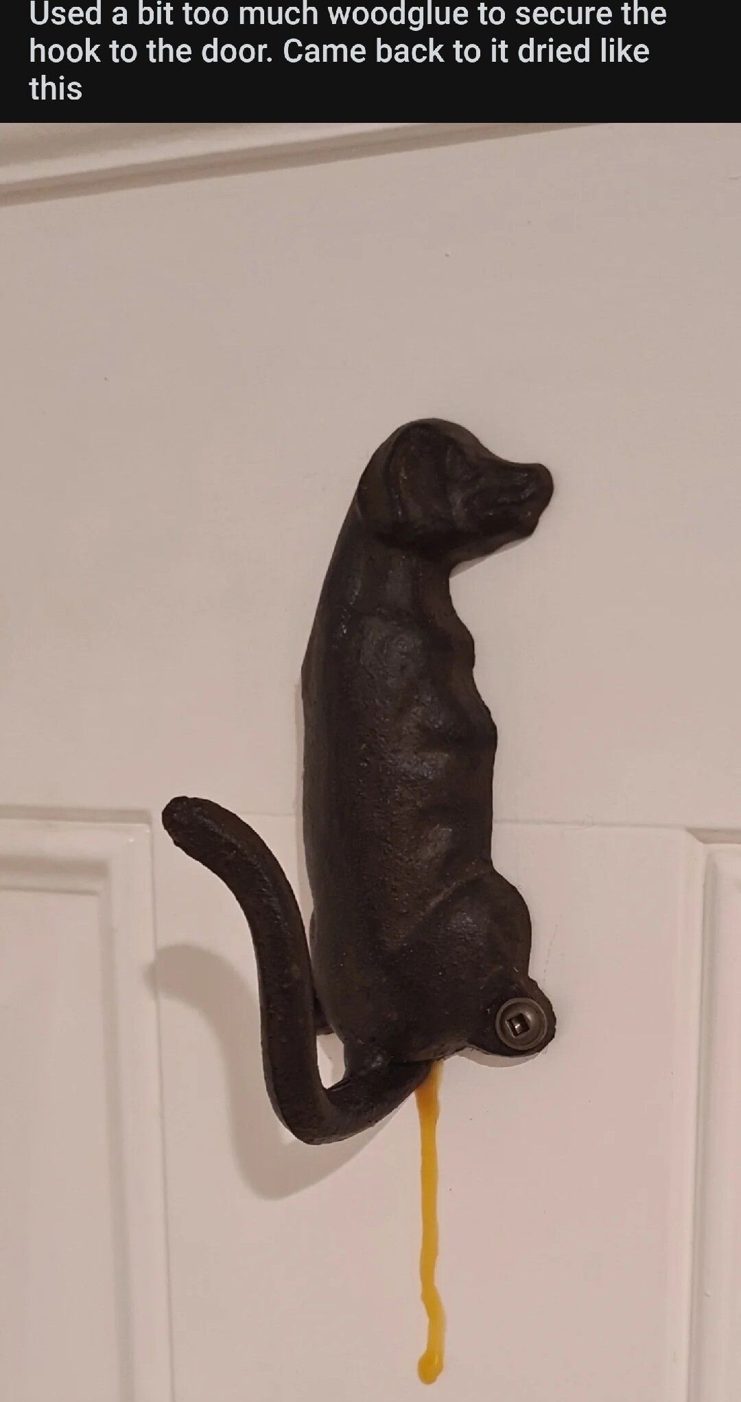 DIt too much woodglue to secure the hook to the door Came back to it dried like this