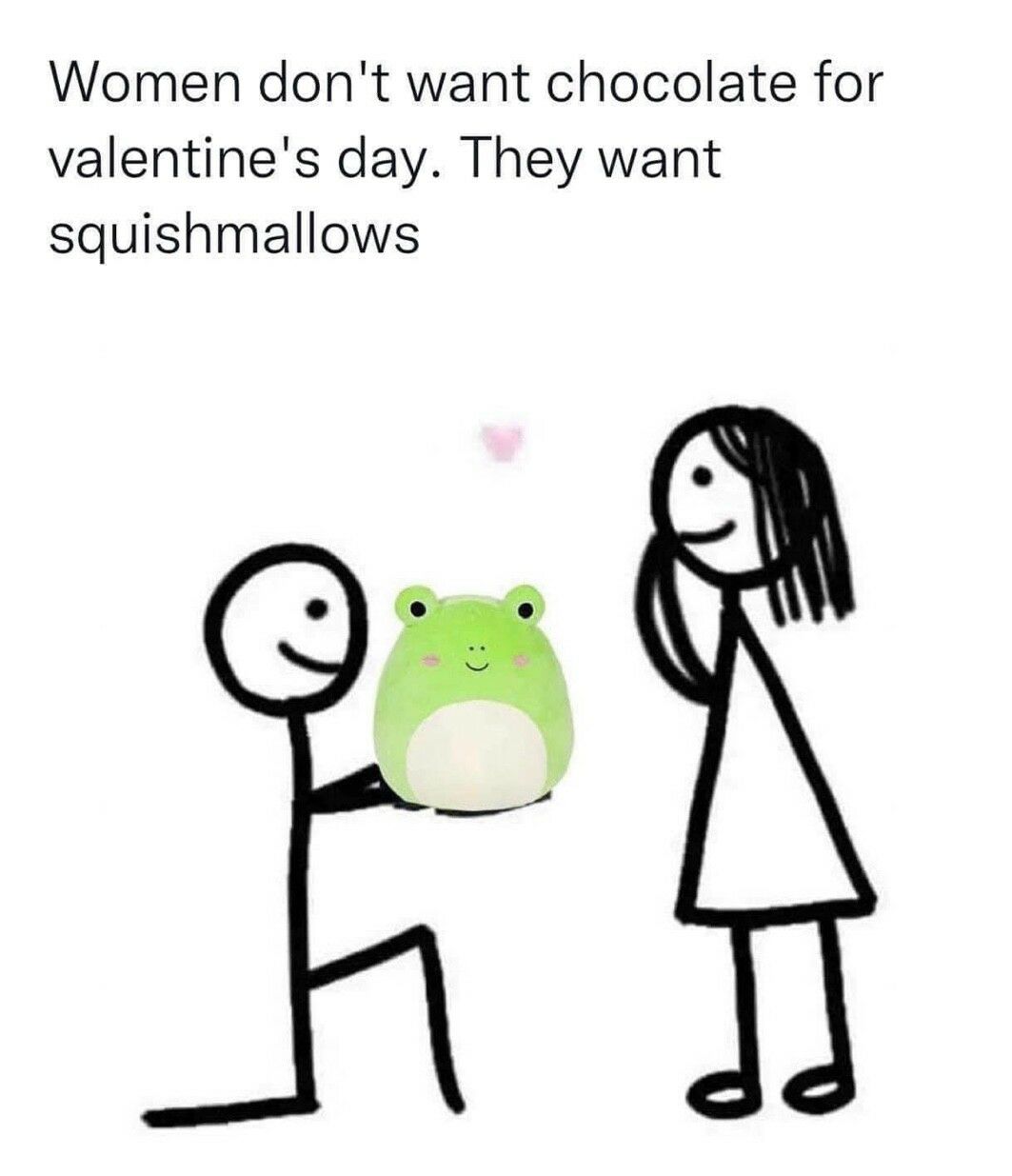 Women dont want chocolate for valentines day They want squishmallows