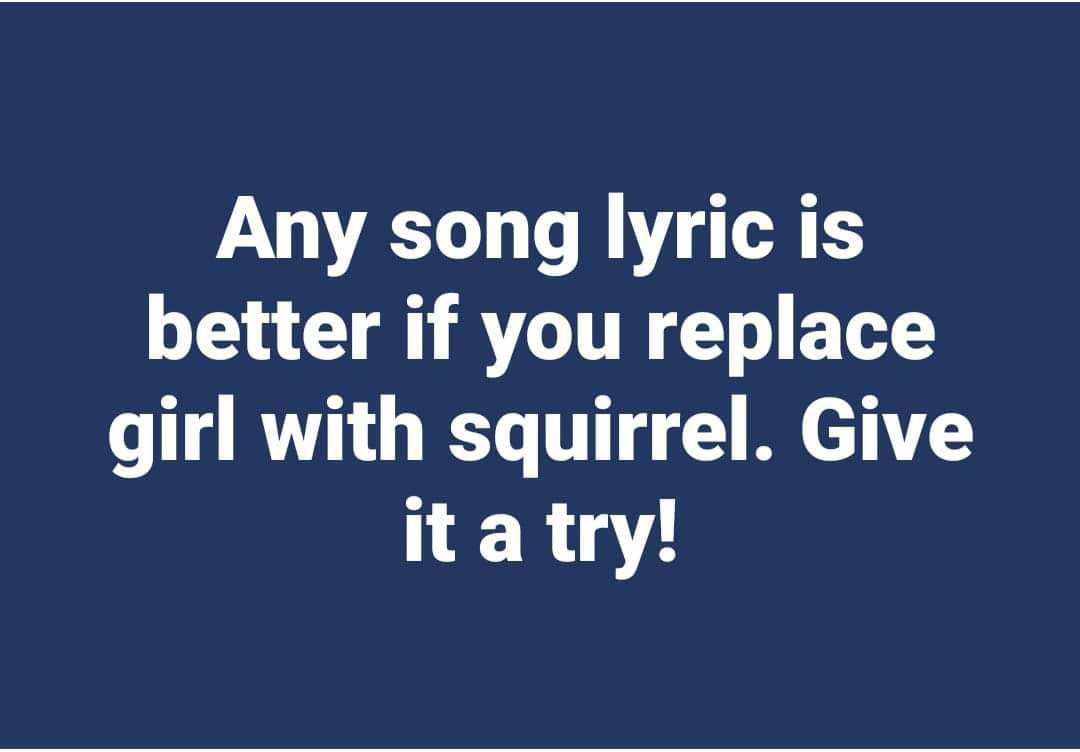 Any song lyric is better if you replace girl with squirrel Give HER