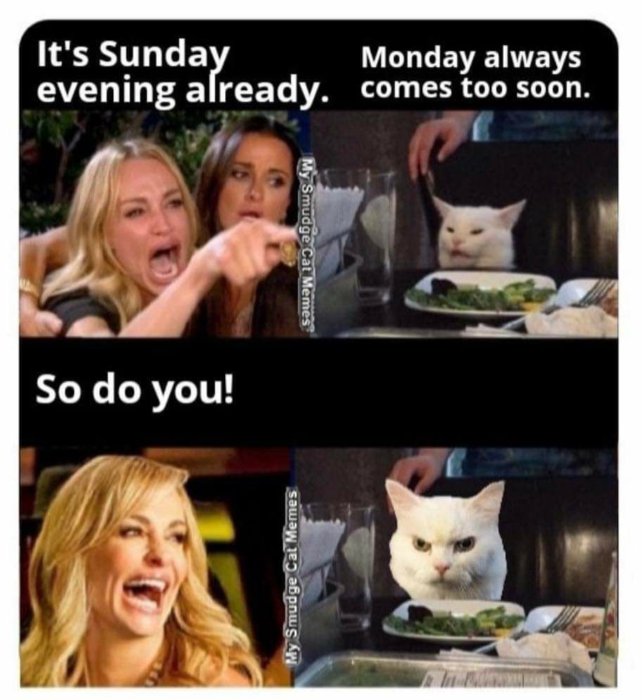 Its Sunda VEN T ENENIVES evening a eady comes too soon