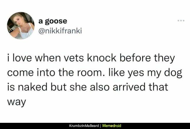 agoose nikkifranki i love when vets knock before they come into the room like yes my dog is naked but she also arrived that way
