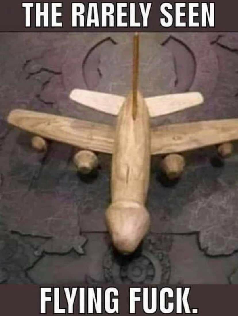 THE RARELY SEEN FLYING FUCK