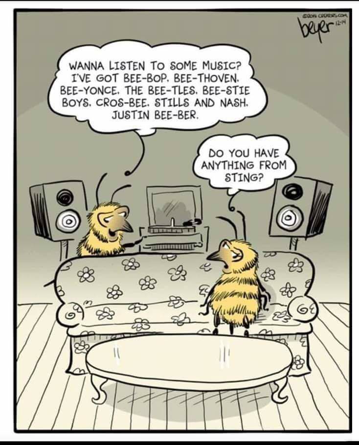 WANNA LISTEN TO SOME MusIC IVE GOT BEE BOP BEE THOVEN BEE YONCE THE BEE TLES BEE STIE BOYS CROS BEE STILLS AND NASH JUSTIN BEE BER DO YOU HAVE ANYTHING FROM STING