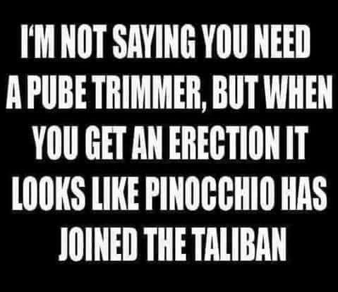 IM NOT SAYING YOU NEED APUBETRIMMER BUT WHEN YOU GET AN ERECTION IT LOOKS LIKE PINOCCHIO HAS JOINED THE TALIBAN