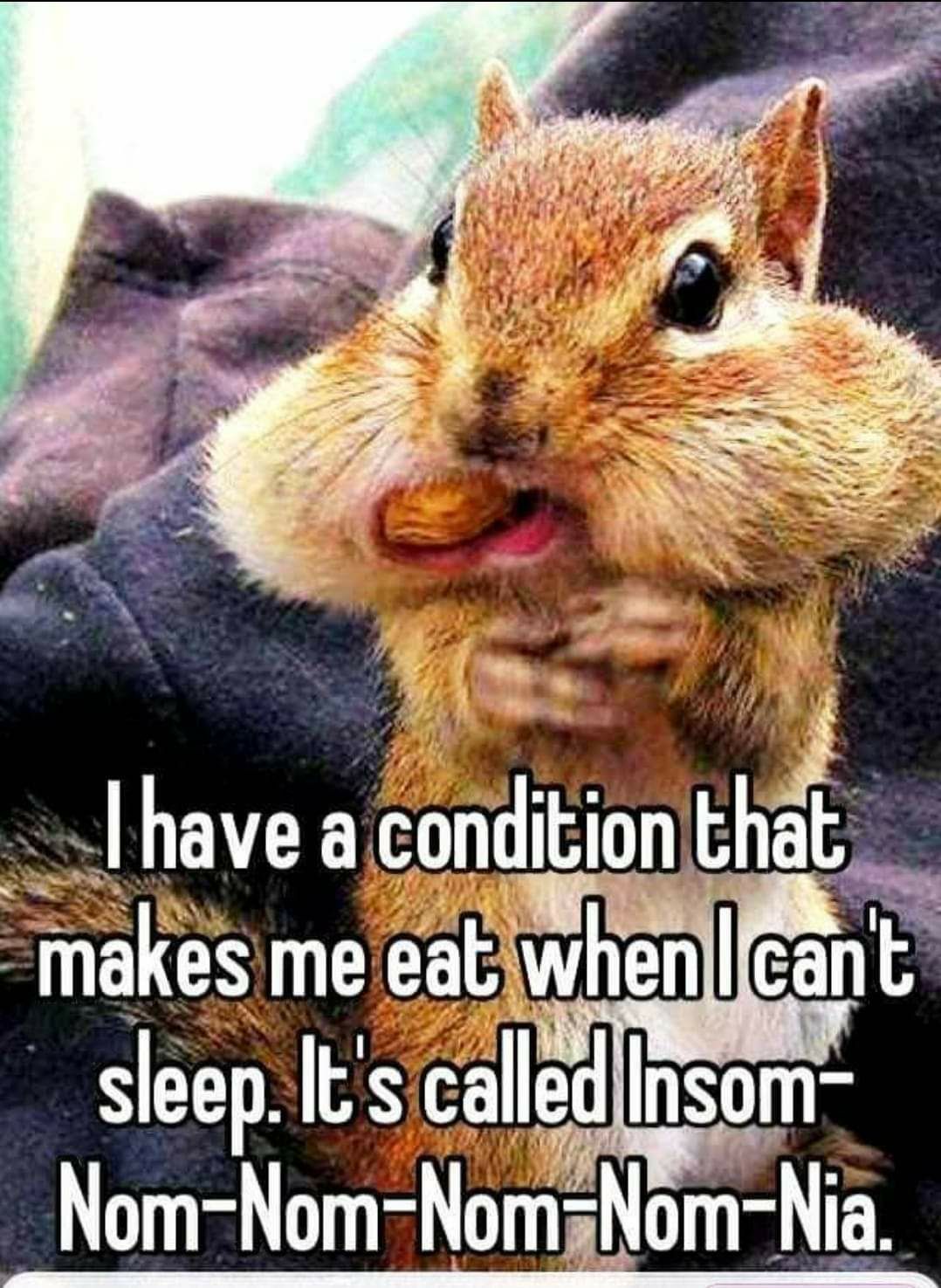 havea condltlon lhl makes me eat whenllcant seep Its called Insom Nom Nom Nom Nom Nia