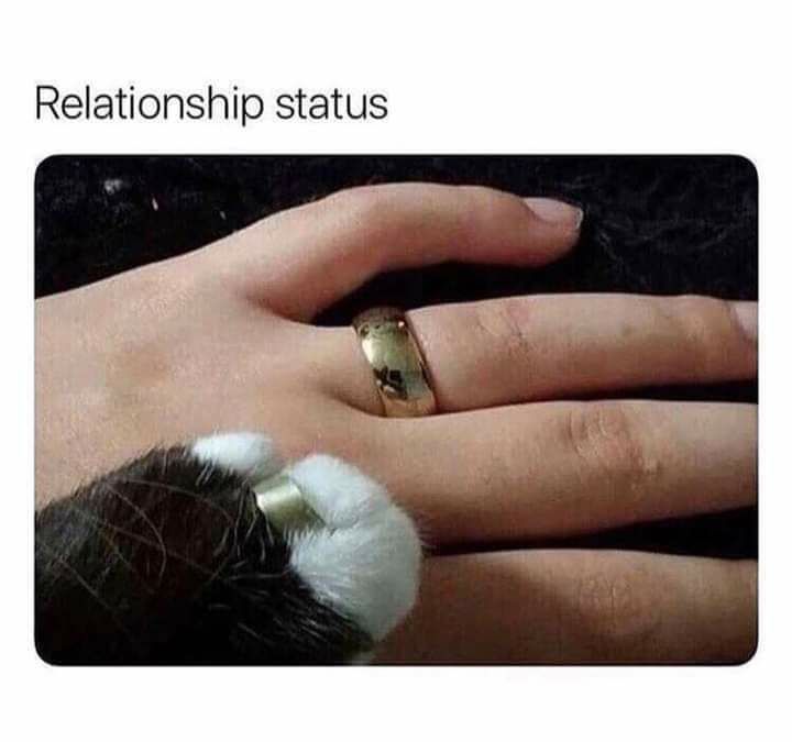 Relationship status